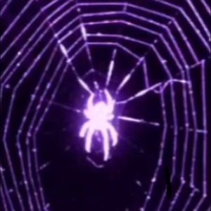 Meet your Posher, Evan